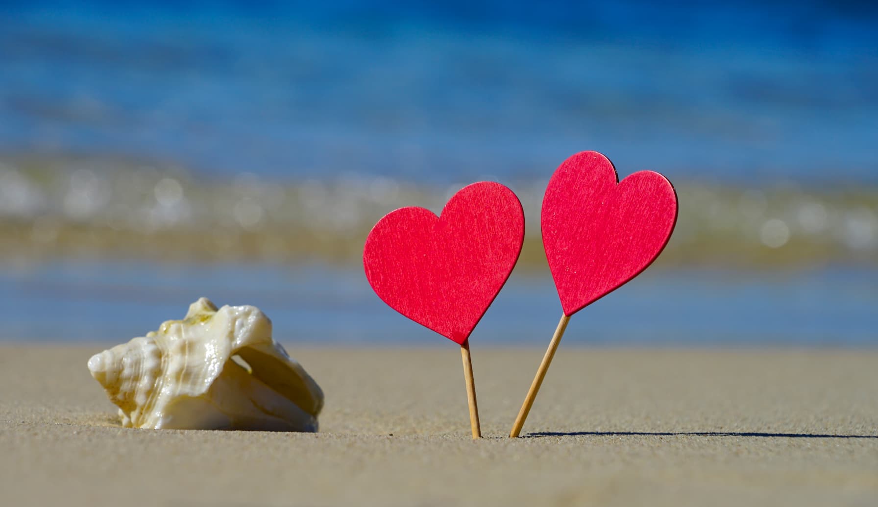 Voyage de noces