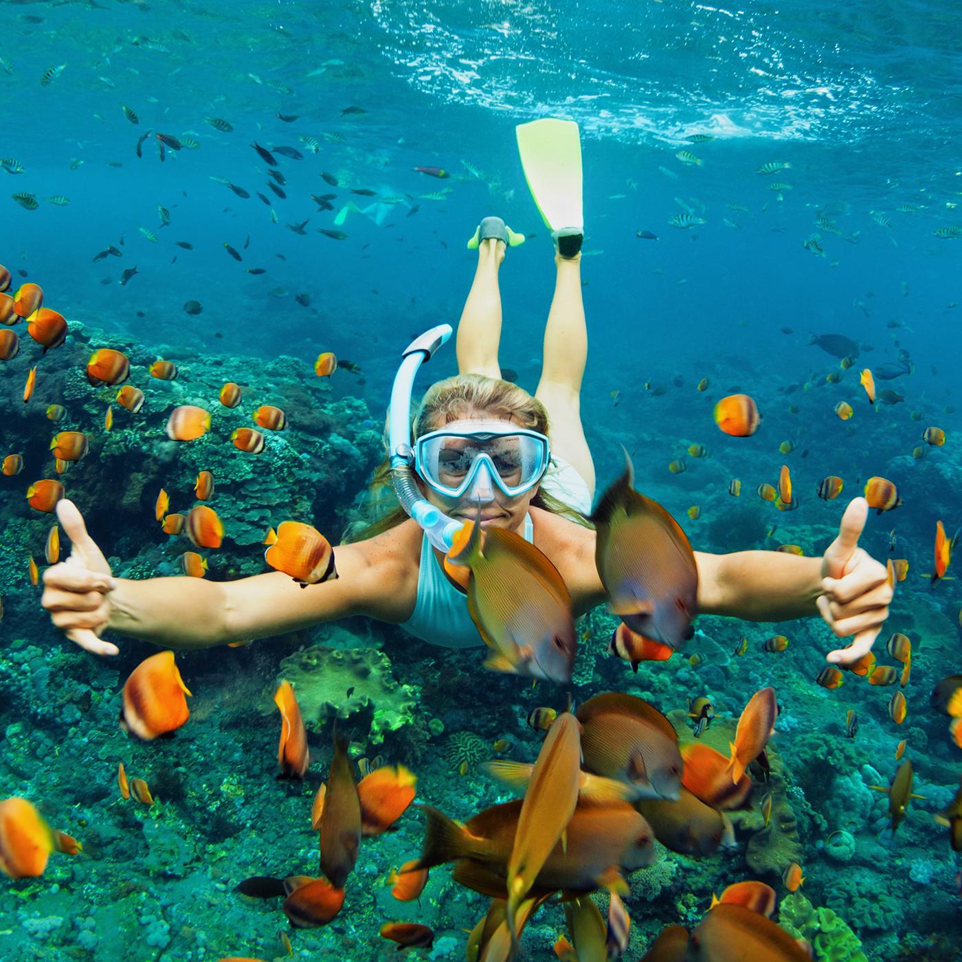 Image principale de la page Top 5 des plus beaux spots de snorkeling dans le monde